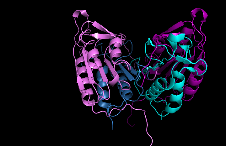 650-million year old enzyme used to target cell death in cancer cells – The  Aggie Transcript
